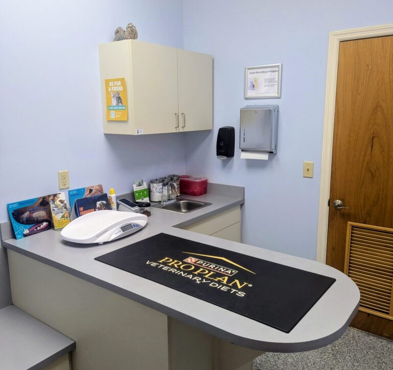 Veterinary clinic